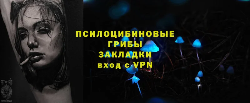 мориарти какой сайт  Копейск  Галлюциногенные грибы мицелий  ОМГ ОМГ как зайти 